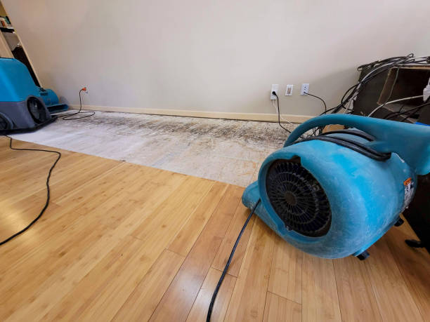Professional Sewage Cleanup technician working in Saint Louisville, OH